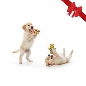 Wonder Christmas Super Gingerman Mordedor Navideño para perros