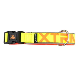 X-TRM Neon Flash Collar Limón para perros