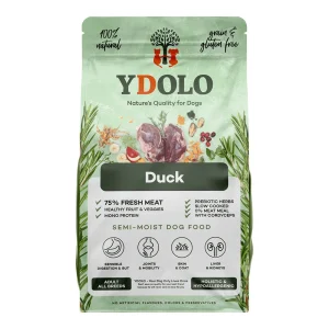 Ydolo Pato