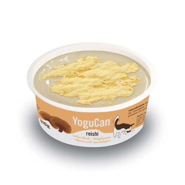 YoguCan Yogur con Reishi con topping - Image 2