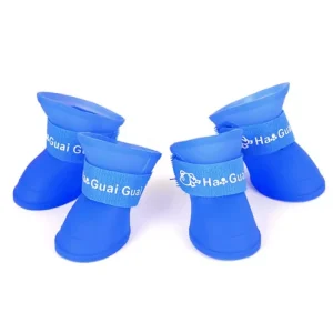 Zapatos De Lluvia Azul