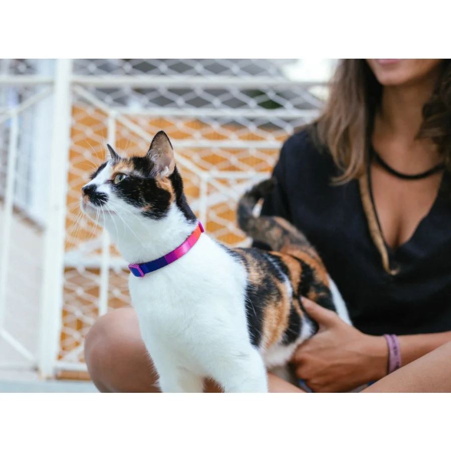 Zee Cat Prisma Collar para gatos - Image 2