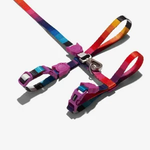 ZEECAT PRISMA ARNES + CORREA
