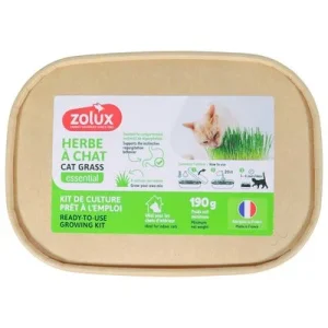 Zolux hierba para gatos 17 x 12 x 4,5 cm (L x An x Al)
