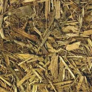 Zoo Med Forest Floor Sustrato Natural para terrarios