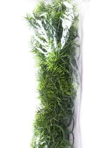 Zoo Med Planta Ariticial Casuarina para terrarios