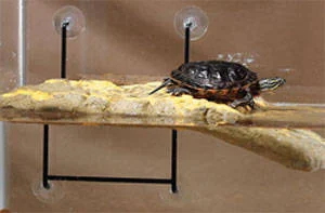 Zoo Med Turtle Dock isla flotante para tortugas