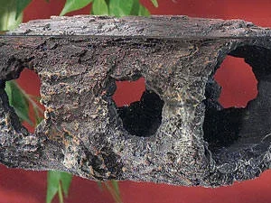 Zoo Med Turtle Log tronco flotante para tortugas