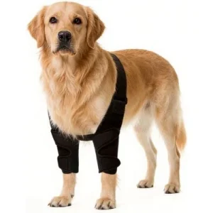 Zoomtopia Protectores de codo perros, patas delanteras, talla M, hombrera METRO