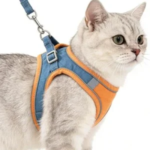 ZooVenture Arnés antiescape para gatos - Transpirable, ajustable, correa Azul anaranjado