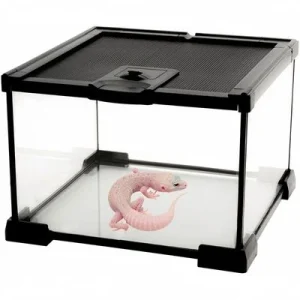 ZooVenture Miniterrario de cristal para reptiles S