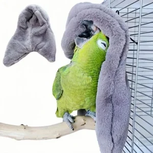 ZooVenture Nido de pájaro para loro S